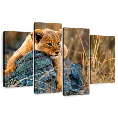Brampt Safari Lion Cub