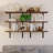 Ebern Designs Set Of 6 Floating Shelves, Black-1189302523