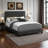 Carissa Transitional Queen Size Bed in Gray Boucle, 45.58'' H X 64.06'' W X 85.12'' L-153552560