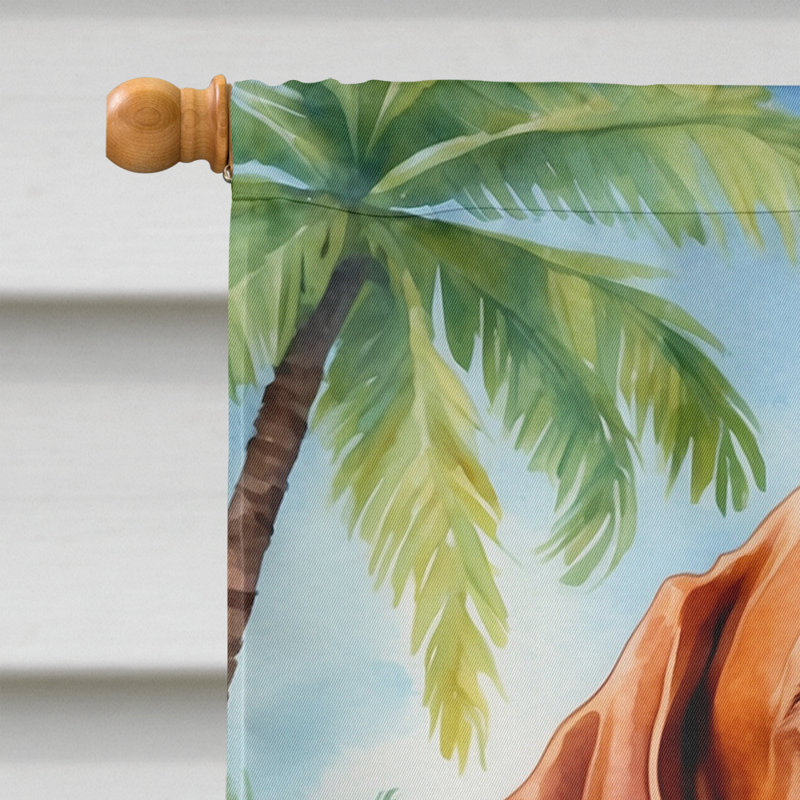 Double Sided 40'' H x 28'' W Polyester Animal House Flag