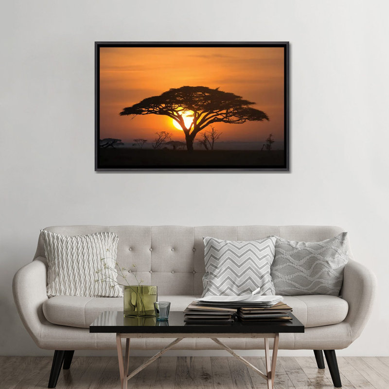 Acacia au lever du soleil. - Reproduction d'art mural encadrée, H 32 po x l 48 po, Reproduction encadrée sans passe-partout