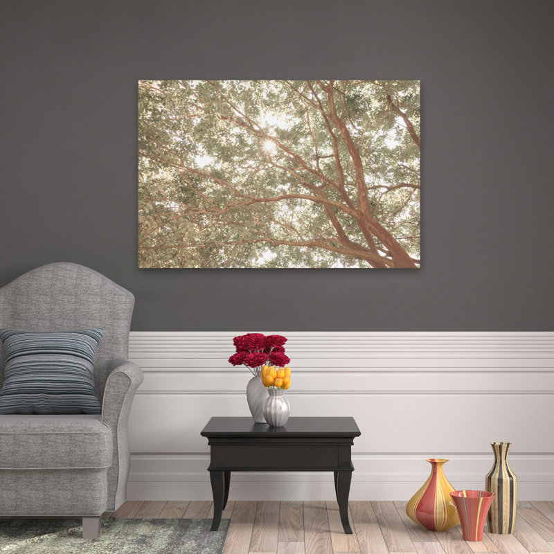 Whisper Pines, photographie de paysage contemporaine, art numérique, H 48 po x l 32 po