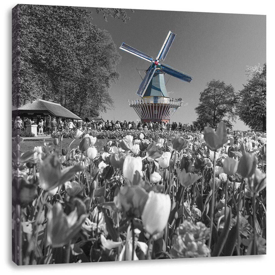 Leinwandbild Niederländisches Tulpenmeer vor einer Windmühle