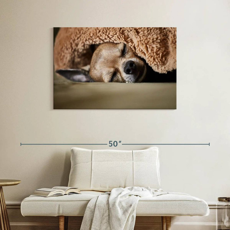 Brampt Sleeping Chihuahua, 26" H x 39" W