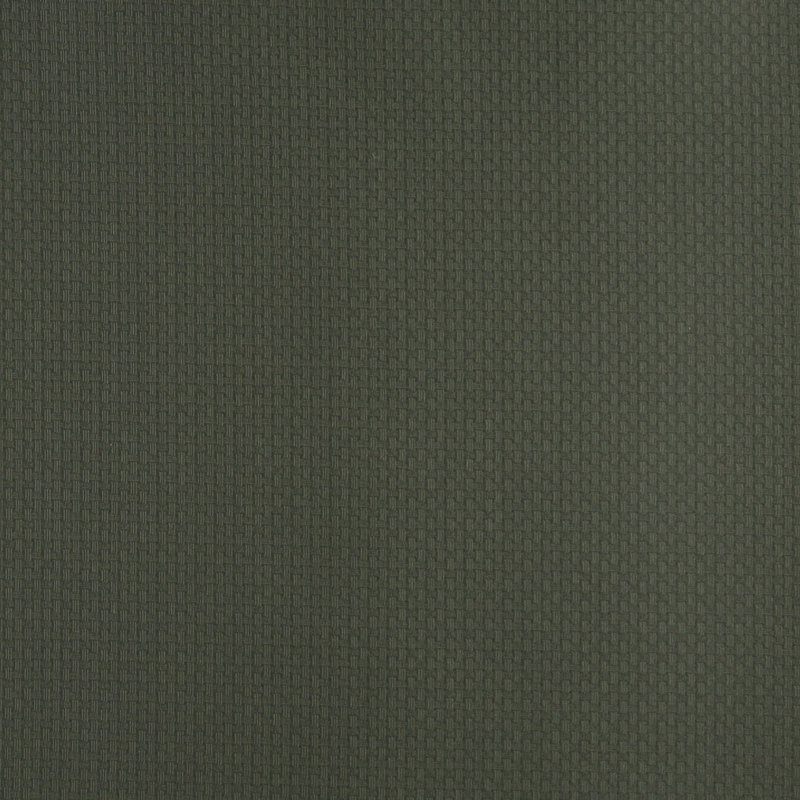Tissu de look tissage de panier, Vert
