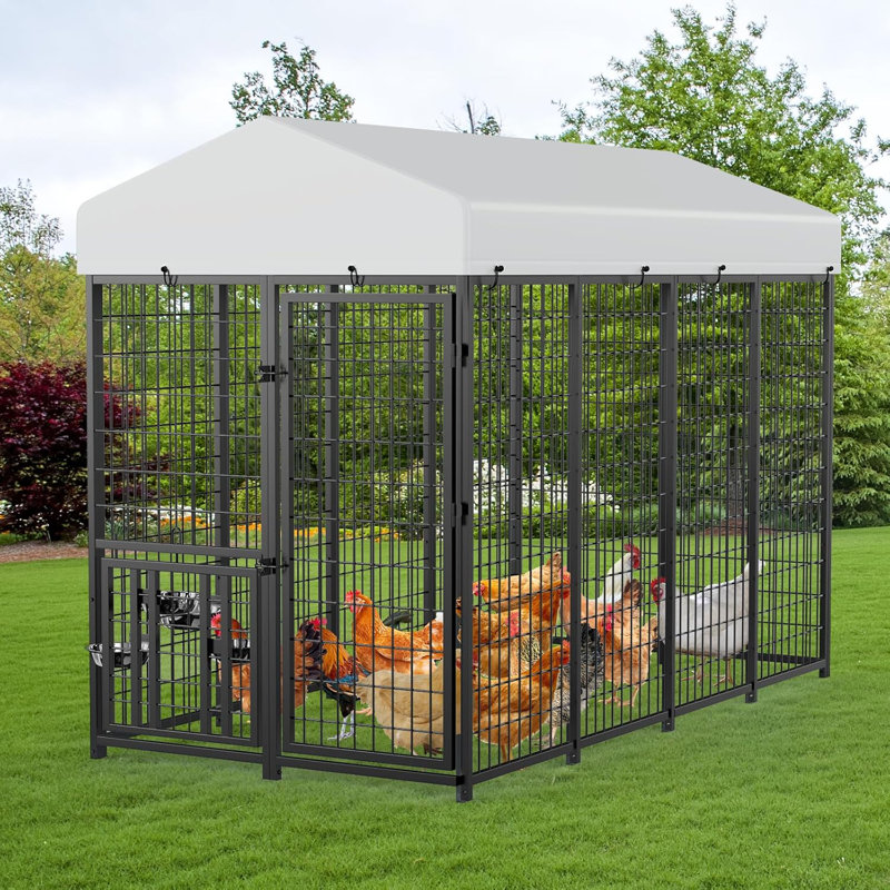 15 Chickens Run  for Chickens, Ducks, Rabbits & More - Predator-Resistant,  Wind & Snow Durable Chicken Pen - 8X4X5.6-FT