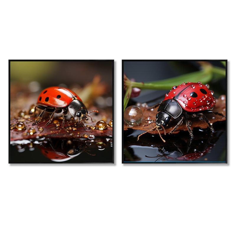 Lively Ladybug Reflections - Insects & Bugs Square Collage Set Of 2, Black Floater Framed, 16" H x 33" W