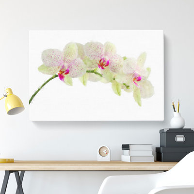 Orchid Flowers Vol.1 - Wrapped Canvas