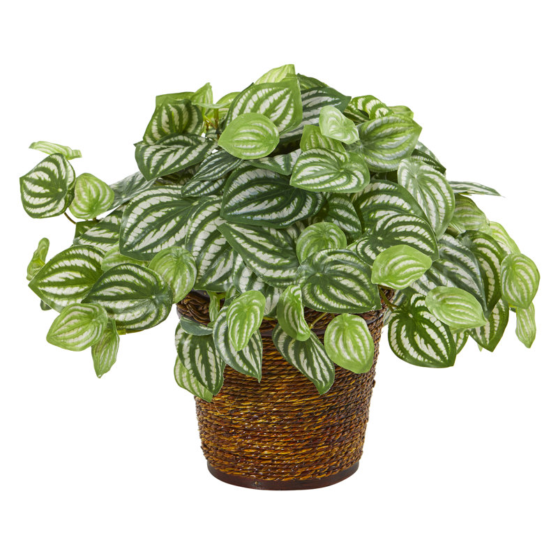 jardinière artificielle de 7 po Peperomia