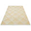 Kaiser Geometric Indoor / Outdoor Area Rug-1453859424