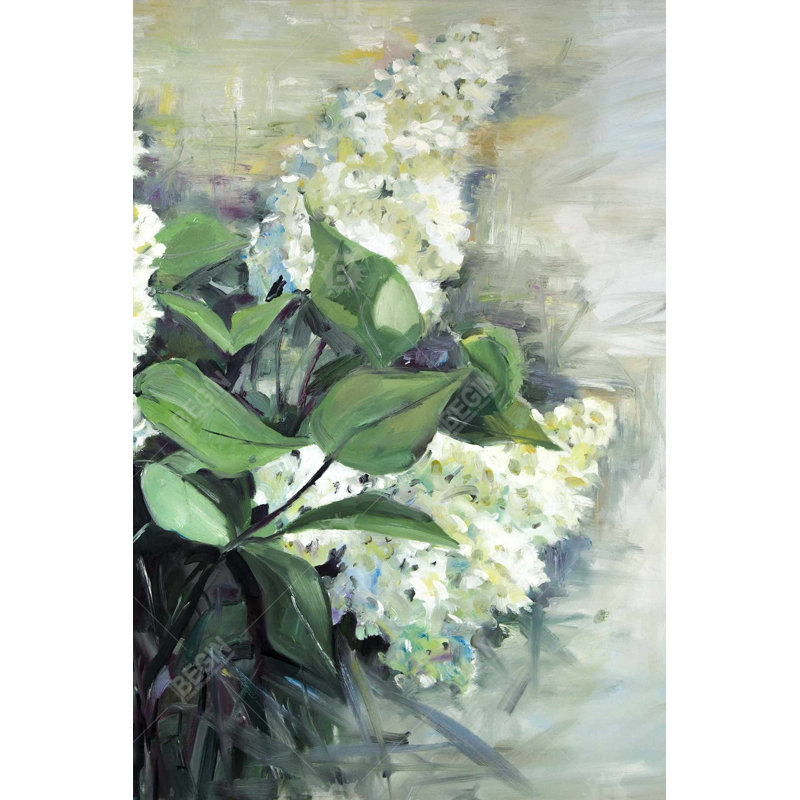 " White Lilacs "