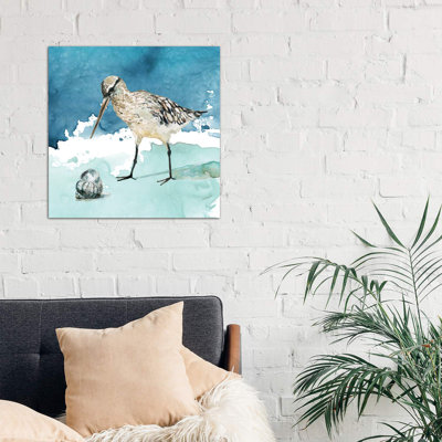 Delray Sandpiper II by Carol Robinson - Wrapped Canvas Painting