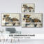 Gallop, reproduction d'art sur toile-93392379-93392382