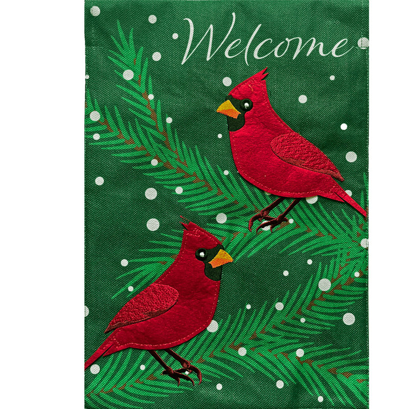 Cardinals in Snow House