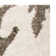Chaffin Shag Performance Floral Rug