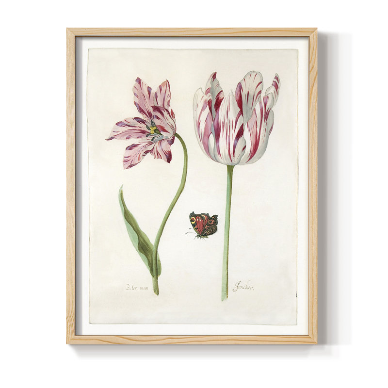 «Two Tulips I», H 21 po x l 17 po, Naturel