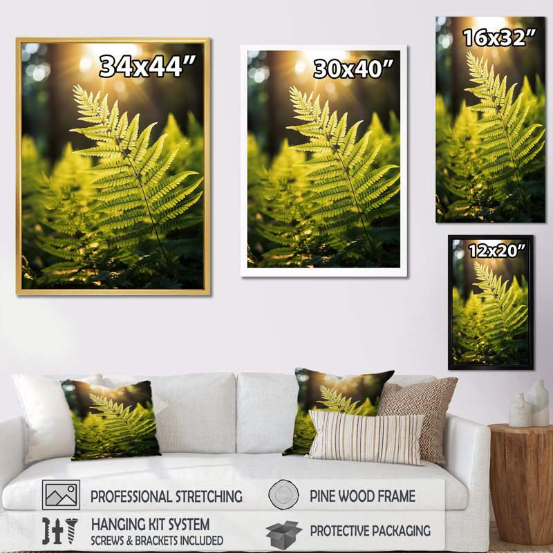 «Wonderland Ferns In Green World», reproduction sur toile, Cadre naturel flottant, H 20 po x l 12 po x P 1 po