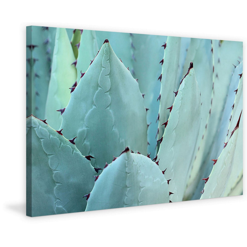 «Cactus», reproduction d'art sur toile tendue, H 16 po x l 24 po x p 1,5 po