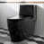 Gloss Black selected
