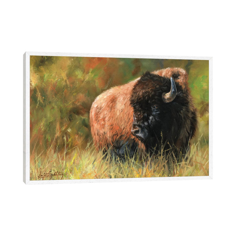Bison I by David Stribbling - Gallery-Wrapped Canvas Giclée on Canvas, White Framed, 101.6 cm H x 66.04 cm W