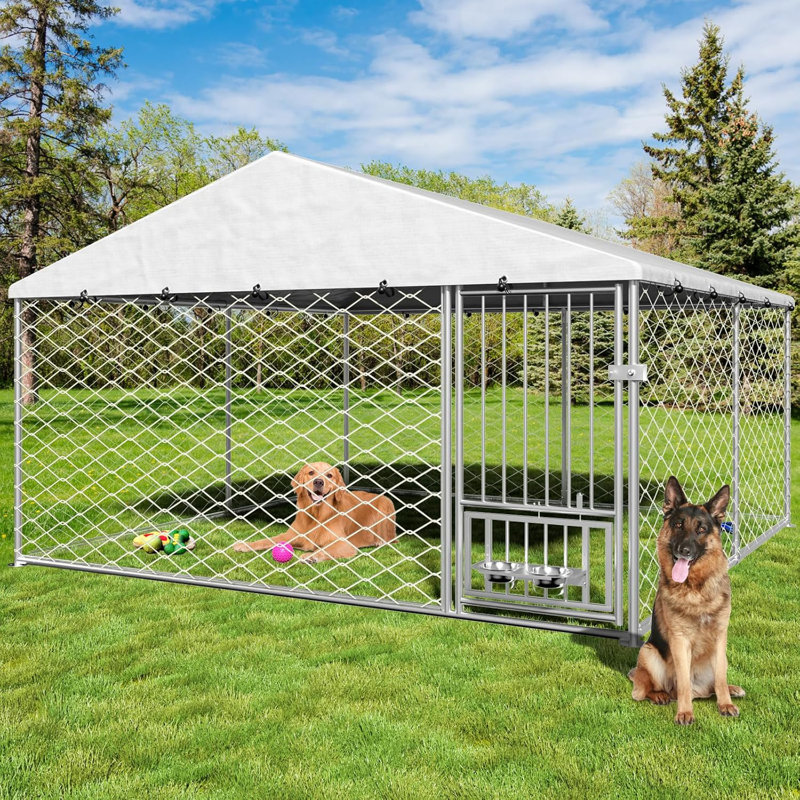 Dog Kennel Outside 10x10 FT  with Rotating Feeder Bowls