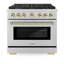 ZLINE 36 in. 6 Burner Gas Range with Convection Gas Oven in Stainless Steel and Accents