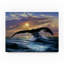«Whale» par Fikes, reproduction de peinture à l'huile sur toile tendue-25326367