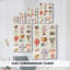 Collage corail et coquille I - Toile tendue avec châssis de qualité supérieure - Prêt à être accroché-108968605