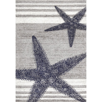 Area Rug