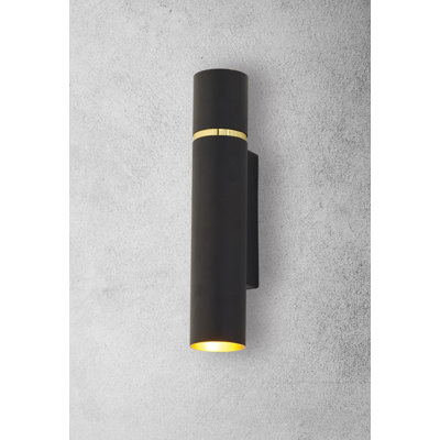 Lynx Steel Wall Sconce