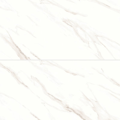 Shandar 24 in. x 48 in. Porcelain Tile