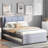 Upholstery Platform Bed With Multifunctional Trundle-801176939