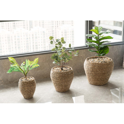Pot Planter