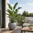 13.5" H x 17" Dia Round Gray Fiberstone Planter Pot with Drainage Hole, Lightweight UV-Resistant Decorative Planter for Olive Trees, Bird of Paradise & Monstera, Indoor Outdoor Patio, Porch & Garden-1372156535-1365753565
