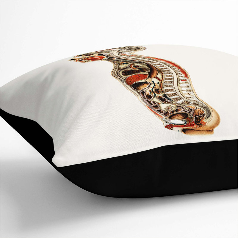 Square Throw Cushion, Black, 55cm H x 55cm W x 20cm D