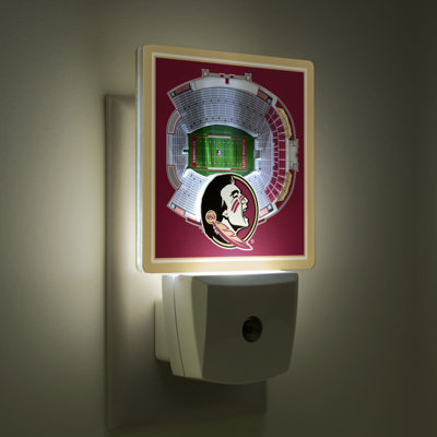 NCAA Stadium View Night Light