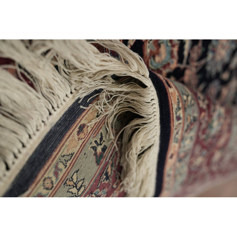 Tapis oriental traditionnel exquis 6 x 9