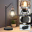 Lampe Ronish