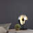 Aurum Globe Hemisphere Elegant Table Lamp LED Iron & Glass Modern Fixture For Living Room