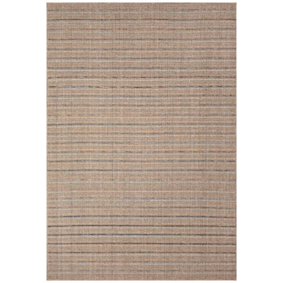 Gobi Stripe Indoor Area Rug