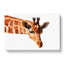 Geometric Giraffe in Abstract - Wrapped Canvas-55314134