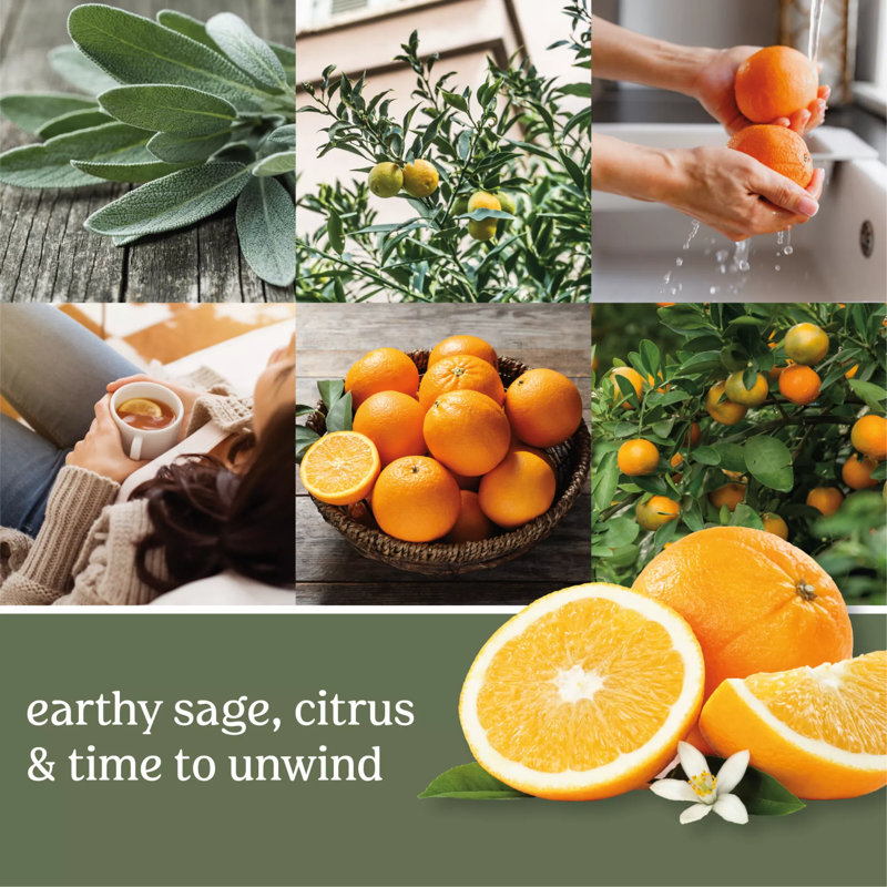 Large Green Sage & Citrus Scented Soy Jar Candle