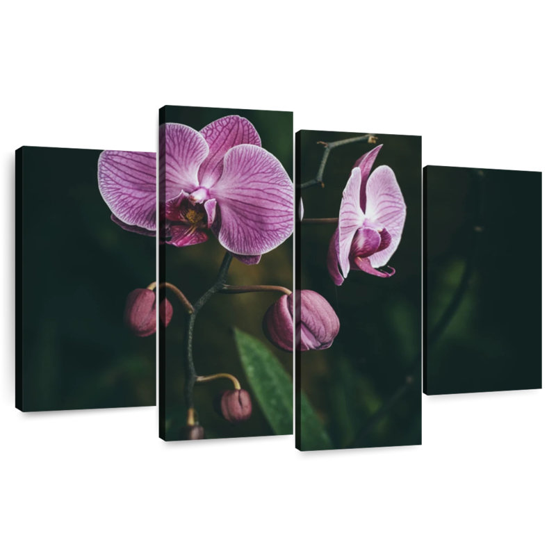 Fleurs d'orchidées Harnek, H 22 po x l 36 po