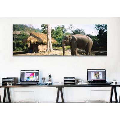 " Elephant Standing Outside a Hut in a Village, Chiang Mai, Thailand " Print