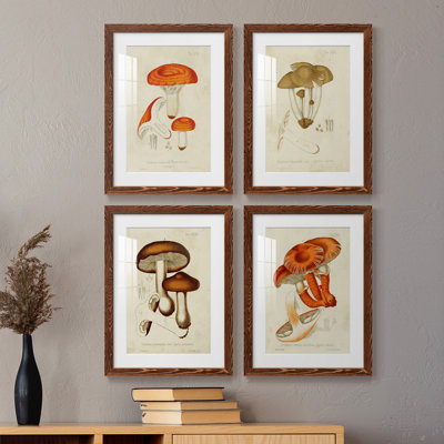 Champignon Variétés
