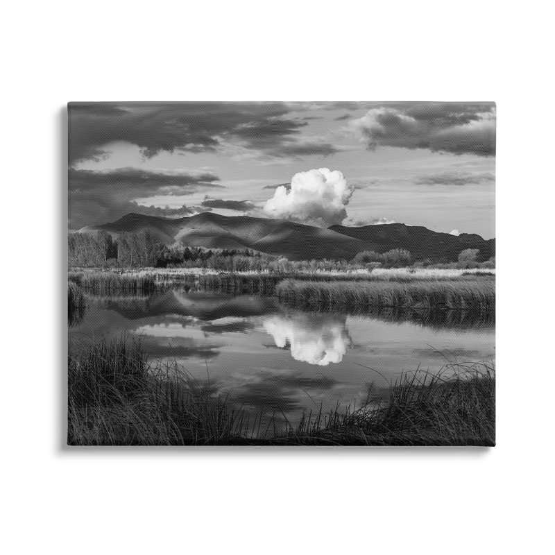 «Puffy Cloud Over Mountain Grassy Marsh Landscape» par Steve Smith - photographie à cadre flottant sur toile, Toile tendue