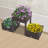 Raised Garden Bed Elevated Planter