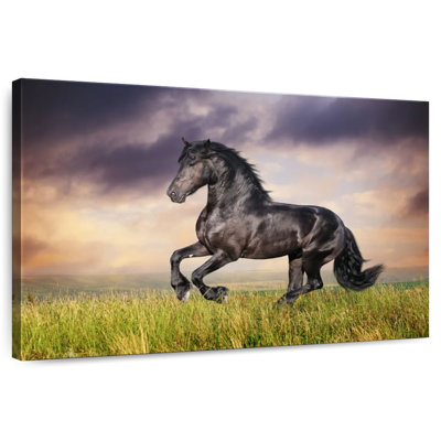 Cheval frison galopant Brampt