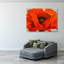 Coquelicot rouge-469122380