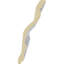 Moulure en couronne Southampton Acanthus